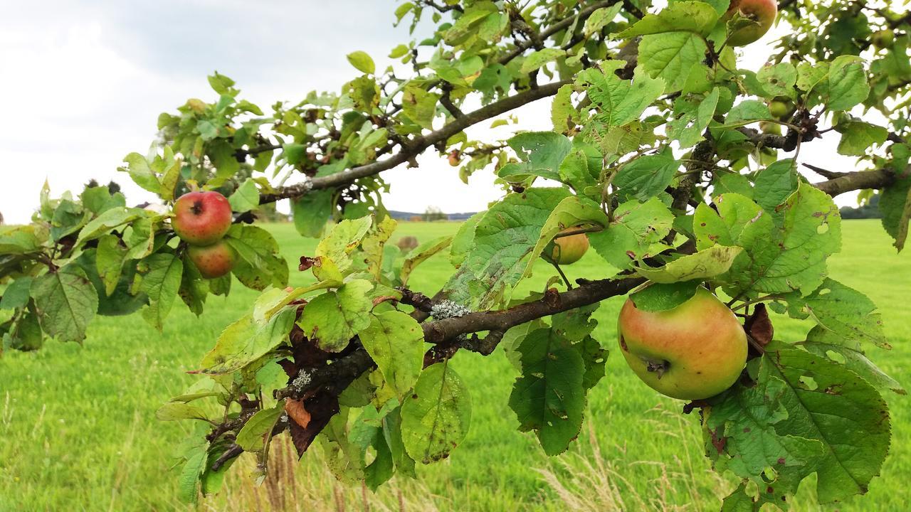 Graefrath Gaestehaus Neunkirchen-Seelscheid Neunkirchen  Zewnętrze zdjęcie